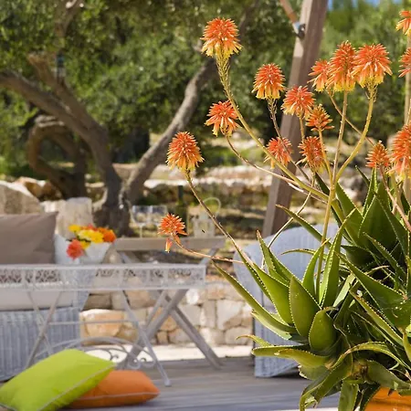 Bracka Perla - Adults Only 4* Supetar